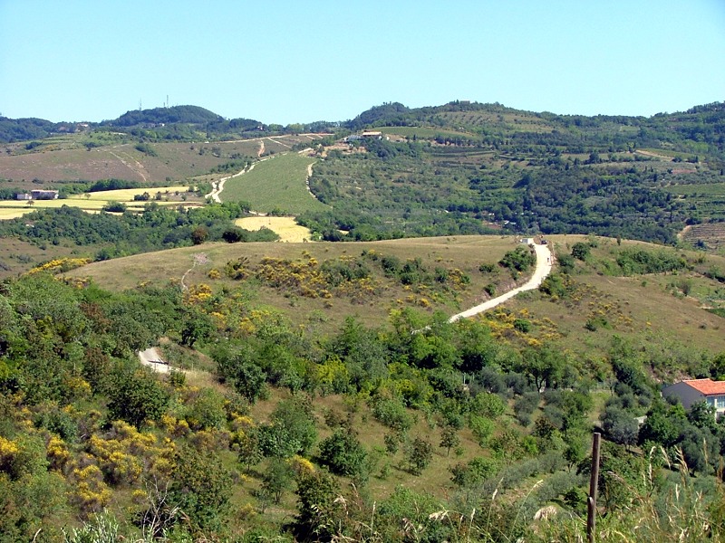 Panorama sui vegri dei Colli centro meridionali