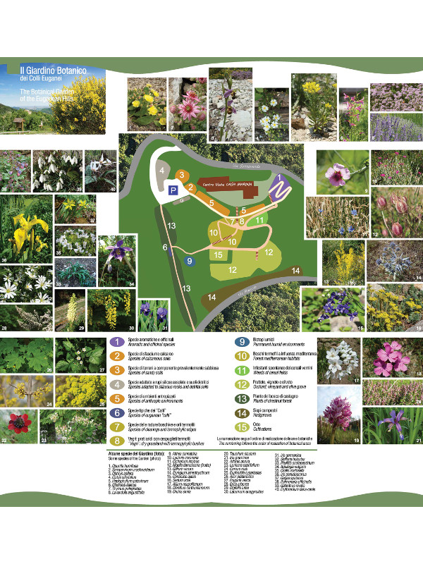 Map of the botanical garden - Casa Marina