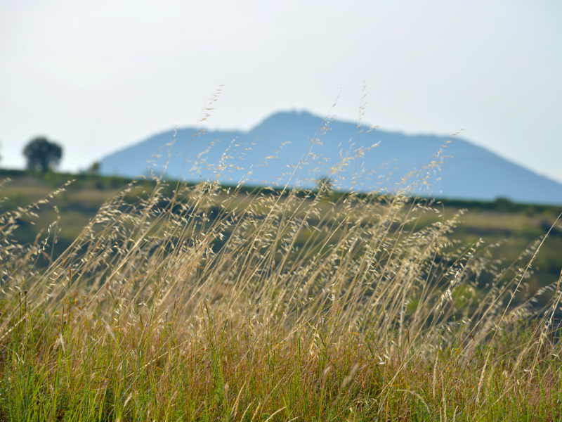 Profilo del vegro del Mottolone sullo sfondo del Monte Ricco